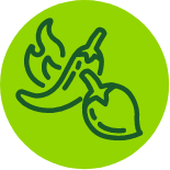 chillies-icon